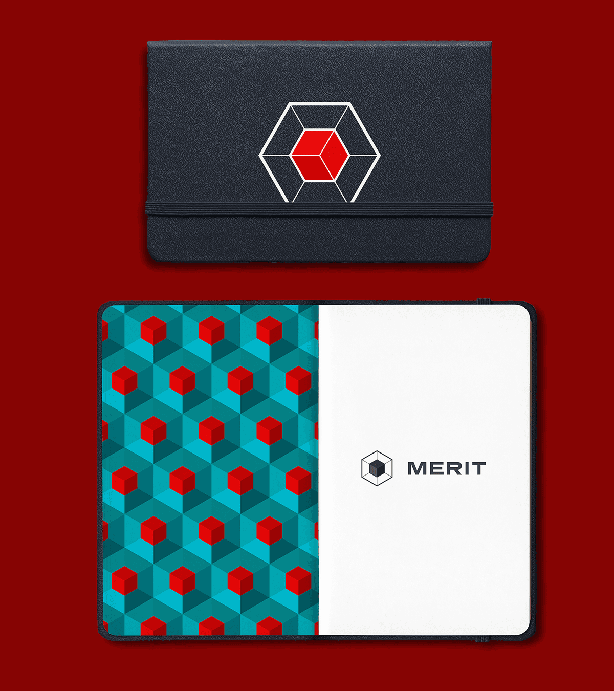 Merit Systems Moleskin